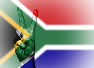 It Blatantly Has Been Obvious from Day One that the ANC Has No Idea How to Run a Country: A Catalogue of Disasters