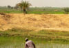 Africa’s Agriculture and Agritech Markets in 2026: Growth, Innovation, and Opportunity