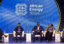 African Energy Leaders Call for Action on South-South Oil and Gas Partnerships
